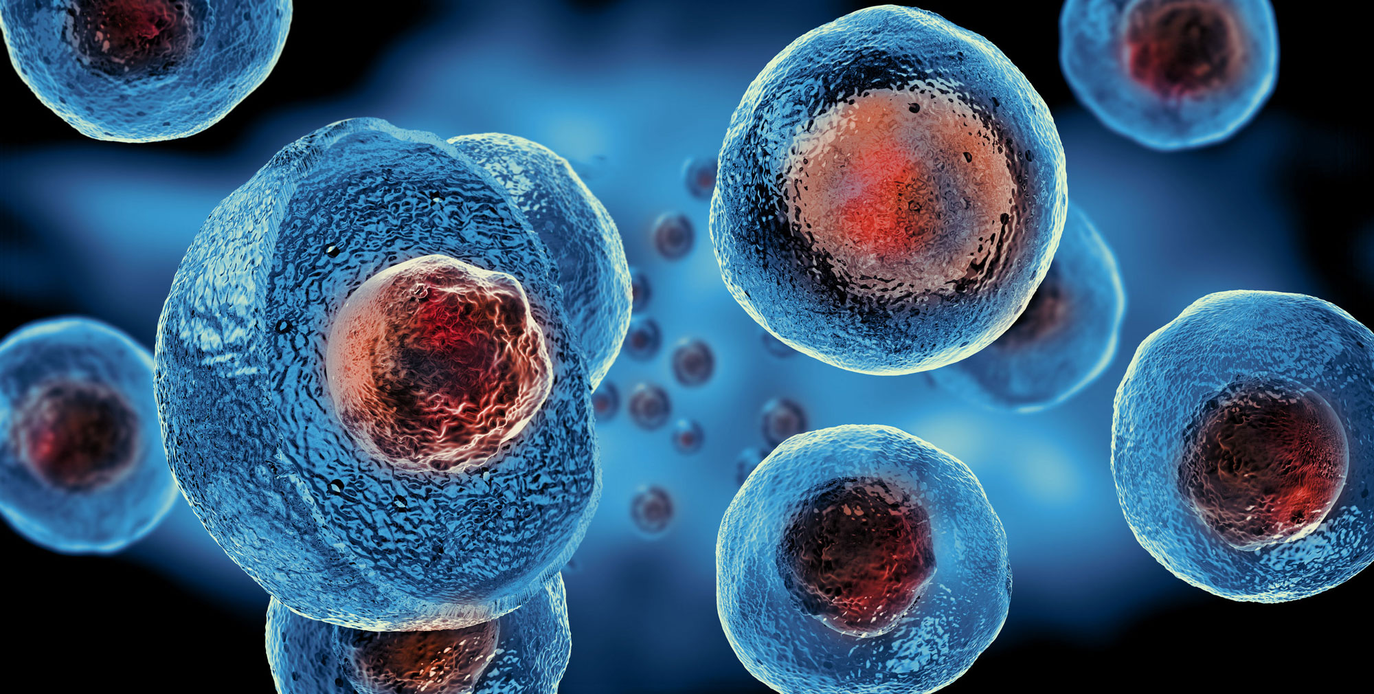 Stem Cell Therapies --Reality vs. Hope and Hype